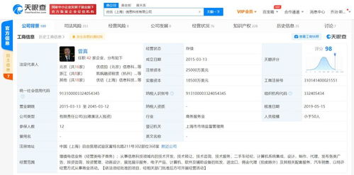 計(jì)算機(jī)系統(tǒng)集成 構(gòu)建高效信息系統(tǒng)的核心工程
